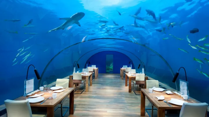 Immersive dining